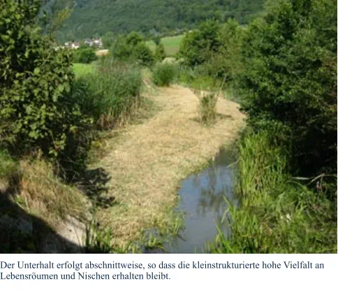 Der Unterhalt erfolgt abschnittweise, so dass die kleinstrukturierte hohe Vielfalt an Lebensröumen und Nischen erhalten bleibt.