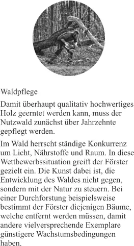 Waldpflege Damit überhaupt qualitativ hochwertiges Holz geerntet werden kann, muss der Nutzwald zunächst über Jahrzehnte gepflegt werden. Im Wald herrscht ständige Konkurrenz um Licht, Nährstoffe und Raum. In diese Wettbewerbssituation greift der Förster gezielt ein. Die Kunst dabei ist, die Entwicklung des Waldes nicht gegen, sondern mit der Natur zu steuern. Bei einer Durchforstung beispielsweise bestimmt der Förster diejenigen Bäume, welche entfernt werden müssen, damit andere vielversprechende Exemplare günstigere Wachstumsbedingungen haben.