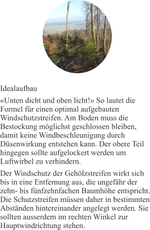 Idealaufbau «Unten dicht und oben licht!» So lautet die Formel für einen optimal aufgebauten Windschutzstreifen. Am Boden muss die Bestockung möglichst geschlossen bleiben, damit keine Windbeschleunigung durch Düsenwirkung entstehen kann. Der obere Teil hingegen sollte aufgelockert werden um Luftwirbel zu verhindern.  Der Windschutz der Gehölzstreifen wirkt sich bis in eine Entfernung aus, die ungefähr der zehn- bis fünfzehnfachen Baumhöhe entspricht. Die Schutzstreifen müssen daher in bestimmten Abständen hintereinander angelegt werden. Sie sollten ausserdem im rechten Winkel zur Hauptwindrichtung stehen.