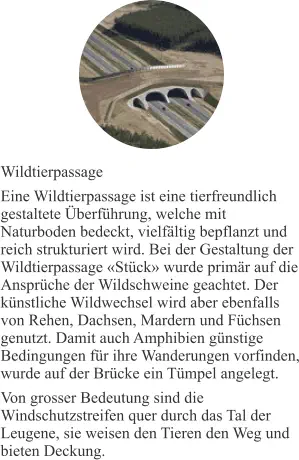 Wildtierpassage Eine Wildtierpassage ist eine tierfreundlich gestaltete Überführung, welche mit Naturboden bedeckt, vielfältig bepflanzt und reich strukturiert wird. Bei der Gestaltung der Wildtierpassage «Stück» wurde primär auf die Ansprüche der Wildschweine geachtet. Der künstliche Wildwechsel wird aber ebenfalls von Rehen, Dachsen, Mardern und Füchsen genutzt. Damit auch Amphibien günstige Bedingungen für ihre Wanderungen vorfinden, wurde auf der Brücke ein Tümpel angelegt. Von grosser Bedeutung sind die Windschutzstreifen quer durch das Tal der Leugene, sie weisen den Tieren den Weg und bieten Deckung.