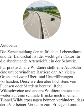 Autobahn Die Zerschneidung der natürlichen Lebensräume und der Landschaft ist der wichtigste Faktor für die abnehmende Artenvielfalt in der Schweiz. Für praktisch alle Wildtiere stellt eine Autobahn eine unüberwindbare Barriere dar. An vielen Orten sind zwar Über- und Unterführungen vorhanden. Diese werden aber höchstens von Füchsen oder Mardern benutzt. Rehe, Wildschweine und andere Wildtiere trauen sich weder auf eine schmale Brücke noch in einen Tunnel.Wildtierpassagen können verhindern, dass der «Vierbeiner-Verkehr» zum Erliegen kommt.