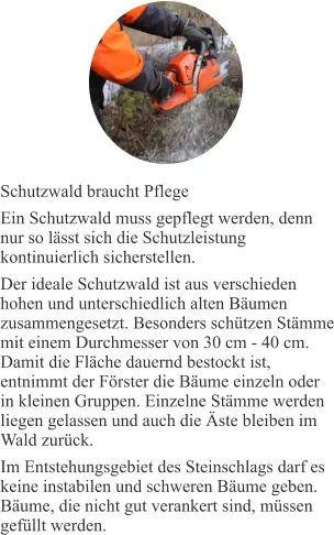 Schutzwald braucht Pflege Ein Schutzwald muss gepflegt werden, denn nur so lässt sich die Schutzleistung kontinuierlich sicherstellen. Der ideale Schutzwald ist aus verschieden hohen und unterschiedlich alten Bäumen zusammengesetzt. Besonders schützen Stämme mit einem Durchmesser von 30 cm - 40 cm. Damit die Fläche dauernd bestockt ist, entnimmt der Förster die Bäume einzeln oder in kleinen Gruppen. Einzelne Stämme werden liegen gelassen und auch die Äste bleiben im Wald zurück. Im Entstehungsgebiet des Steinschlags darf es keine instabilen und schweren Bäume geben. Bäume, die nicht gut verankert sind, müssen gefüllt werden.