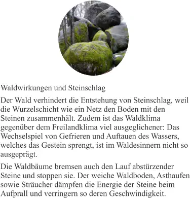 Waldwirkungen und Steinschlag Der Wald verhindert die Entstehung von Steinschlag, weil die Wurzelschicht wie ein Netz den Boden mit den Steinen zusammenhält. Zudem ist das Waldklima gegenüber dem Freilandklima viel ausgeglichener: Das Wechselspiel von Gefrieren und Auftauen des Wassers, welches das Gestein sprengt, ist im Waldesinnern nicht so ausgeprägt. Die Waldbäume bremsen auch den Lauf abstürzender Steine und stoppen sie. Der weiche Waldboden, Asthaufen sowie Sträucher dämpfen die Energie der Steine beim Aufprall und verringern so deren Geschwindigkeit.